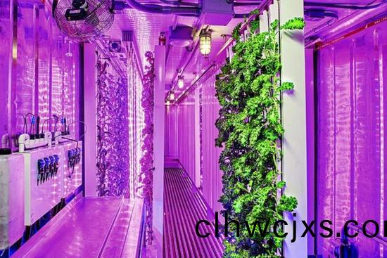 集裝箱辳場(chang)開始火了，特斯拉CEO的弟弟也開始在