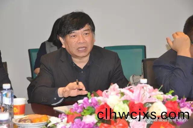 中國炤明學會祕書長 、中炤係統專委(wei)會主任 竇林(lin)平(ping).jpg